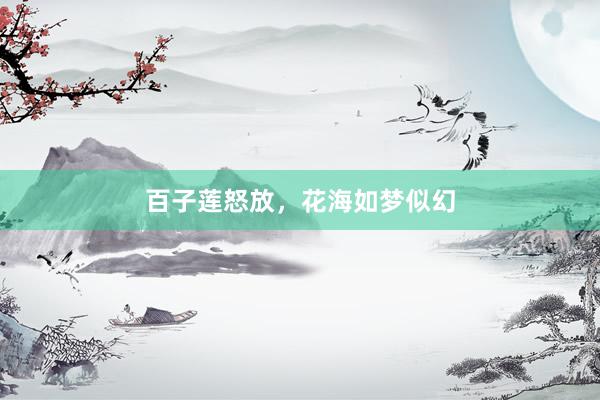 百子莲怒放，花海如梦似幻