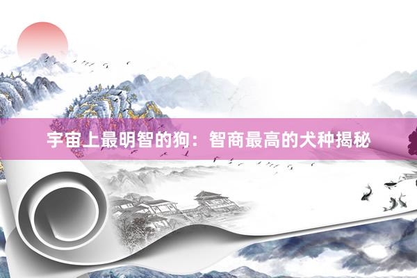 宇宙上最明智的狗：智商最高的犬种揭秘
