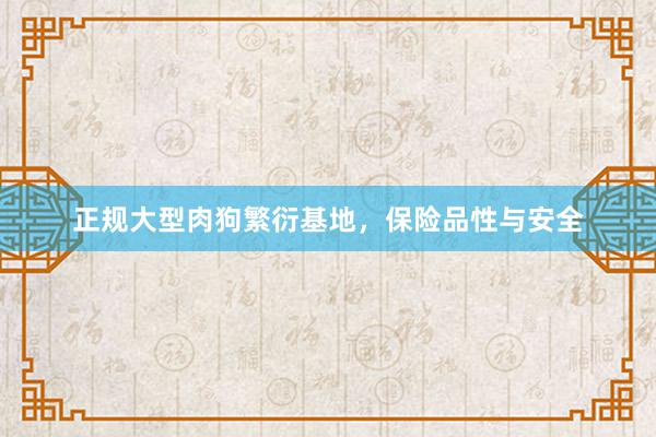 正规大型肉狗繁衍基地，保险品性与安全