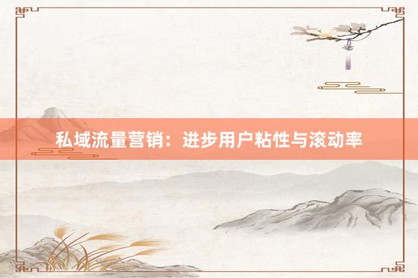 私域流量营销：进步用户粘性与滚动率